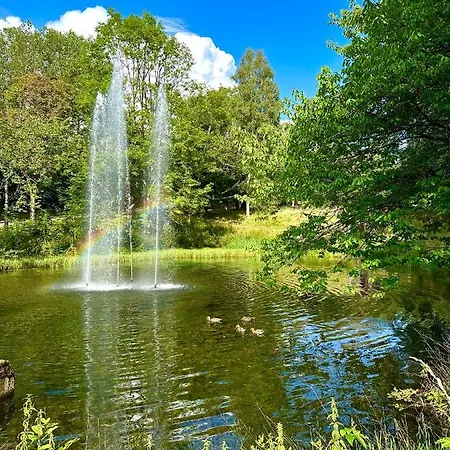 479 Mit Schwimmbad,sauna Und Bar In Panoramic Hohegeiss Apartament